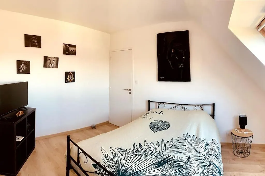 Maison Avec Jacuzzi 10 Personnes Locquenole